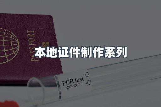 本地证件制作系列